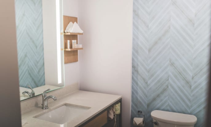 hilton garden bathroom