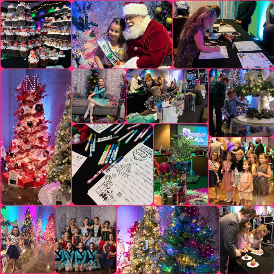 NGC Sponsors Ava’s Army Sugarplum Ball