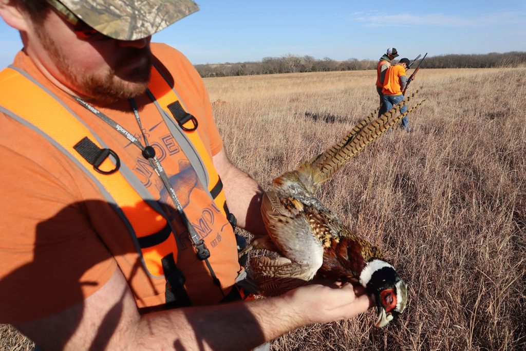 NGC Captures Phantastic Pheasant Pheat on Philm