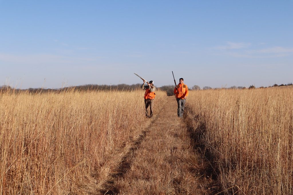 NGC Captures Phantastic Pheasant Pheat on Philm