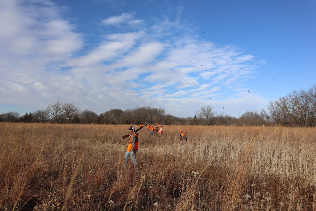 NGC Captures Phantastic Pheasant Pheat on Philm