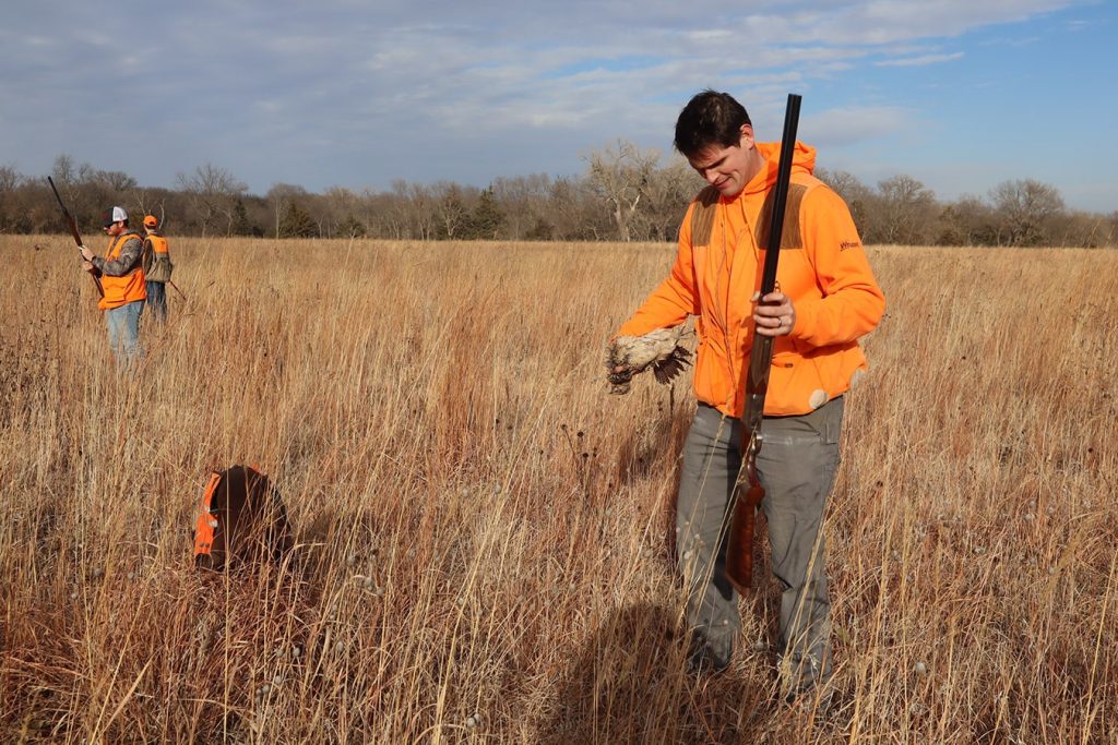 NGC Captures Phantastic Pheasant Pheat on Philm