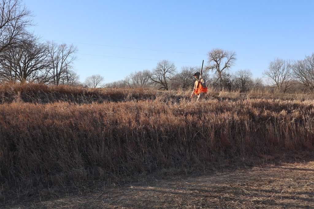 NGC Captures Phantastic Pheasant Pheat on Philm